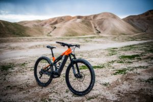 canyon neuron on 2020